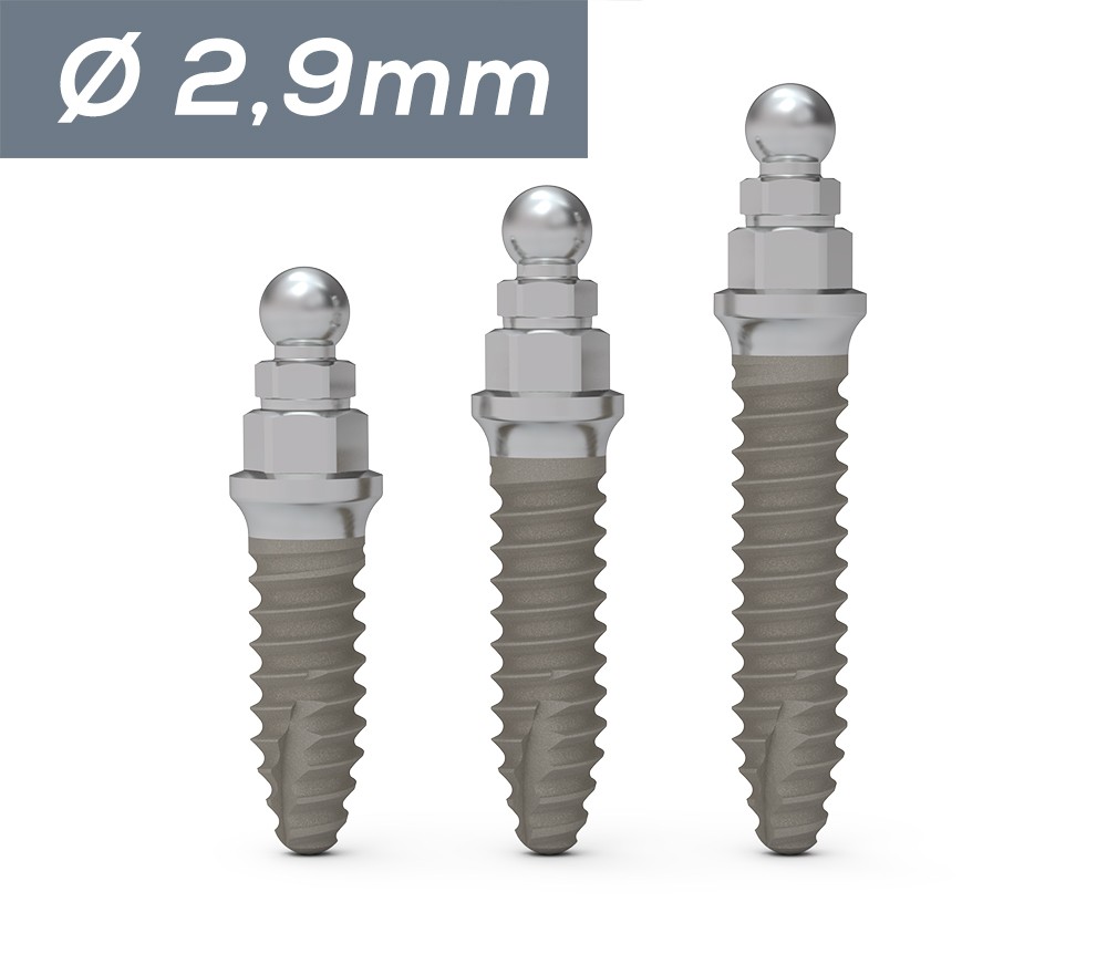 1751227084-ICX-Mini (⌀ 2.9mm).jpg