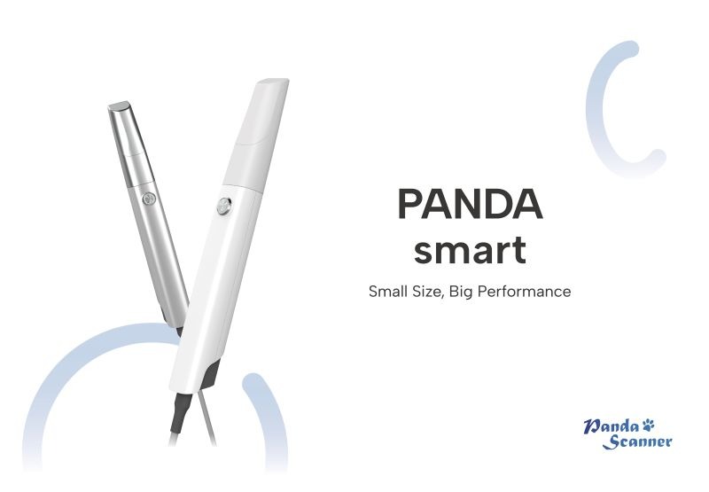 1752558559-Panda.jpg